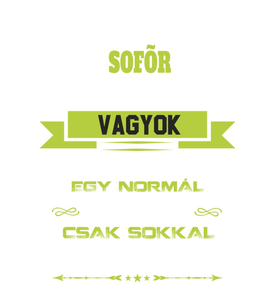 SOFŐR NAGYPAPA PÓLÓ