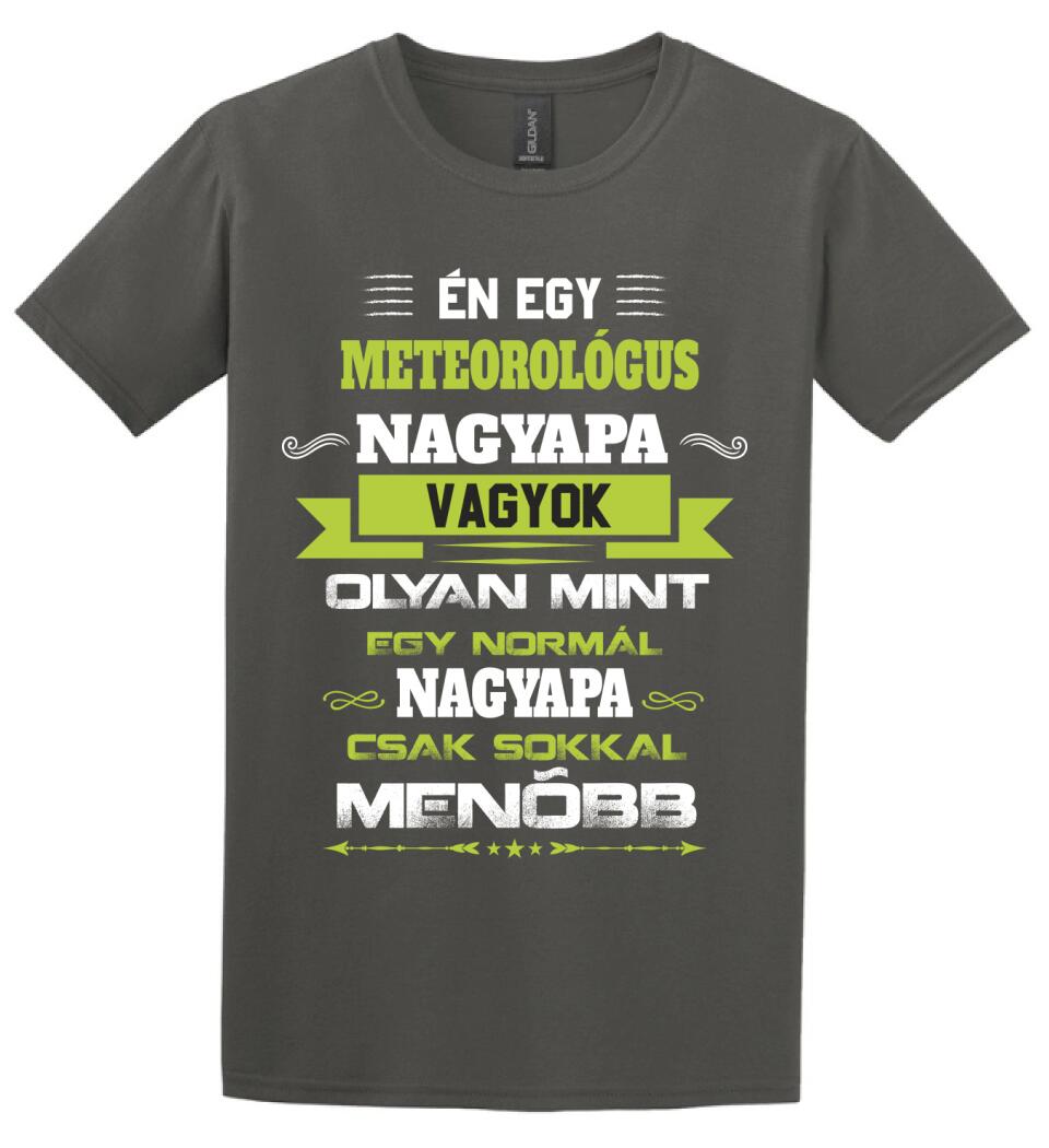 METEOROLÓGUS NAGYPAPA PÓLÓ