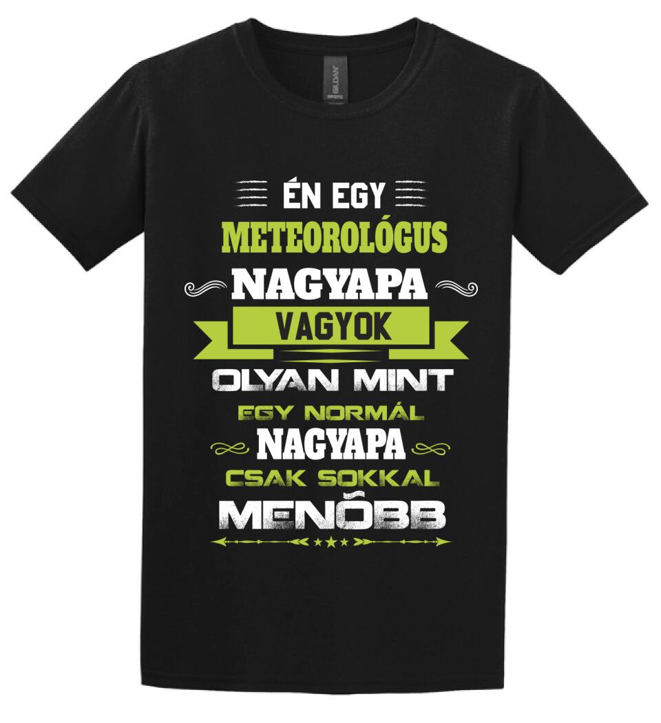 METEOROLÓGUS NAGYPAPA PÓLÓ