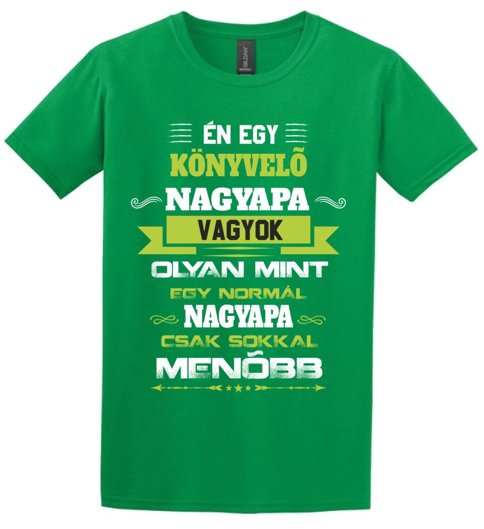 KÖNYVELŐ NAGYPAPA PÓLÓ