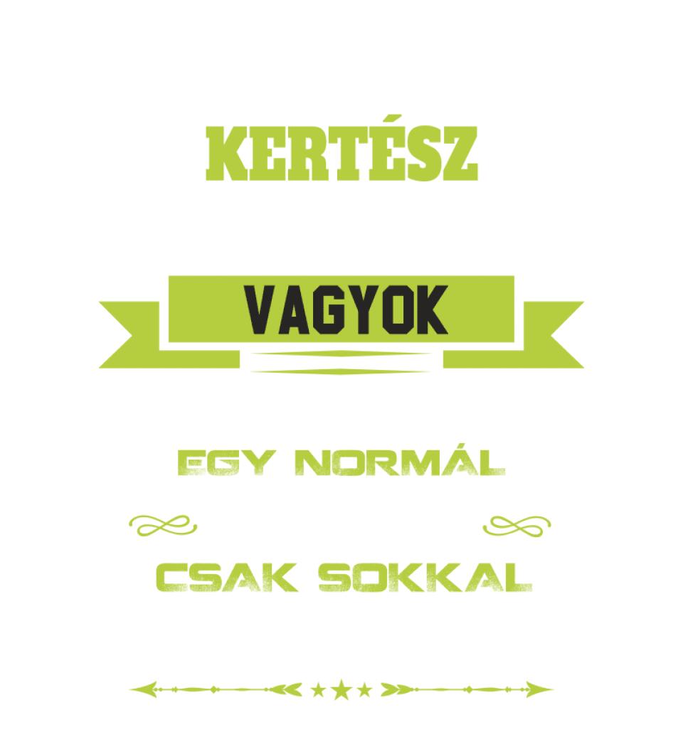 KERTÉSZ NAGYPAPA PÓLÓ