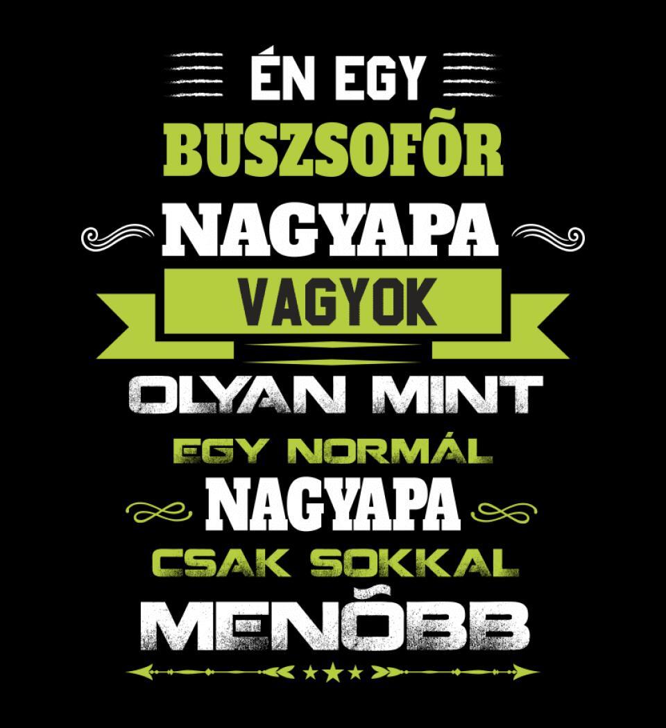BUSZSOFŐR NAGYPAPA PÓLÓ