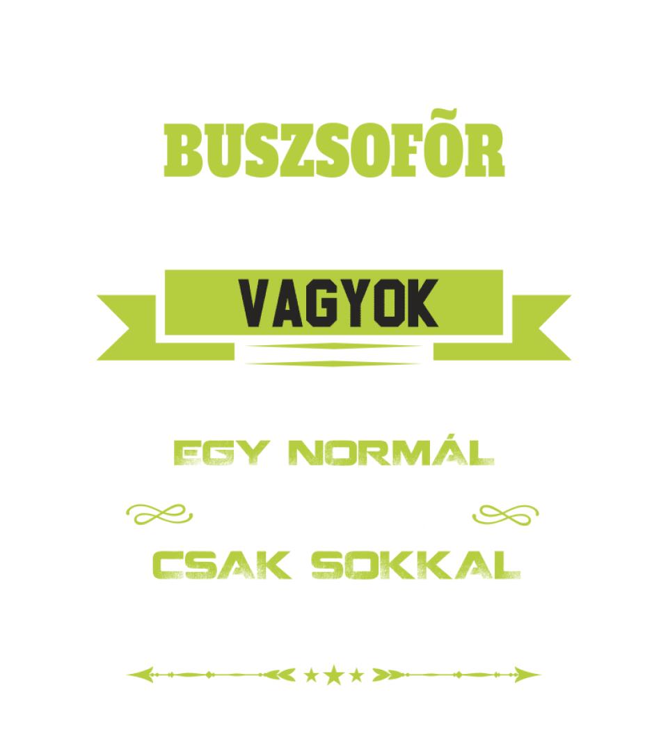 BUSZSOFŐR NAGYPAPA PÓLÓ