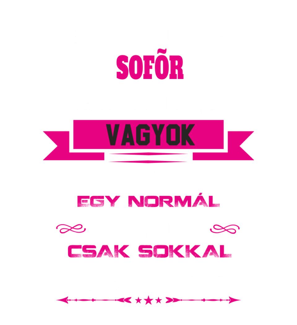 SOFŐR ANYUKA PÓLÓ