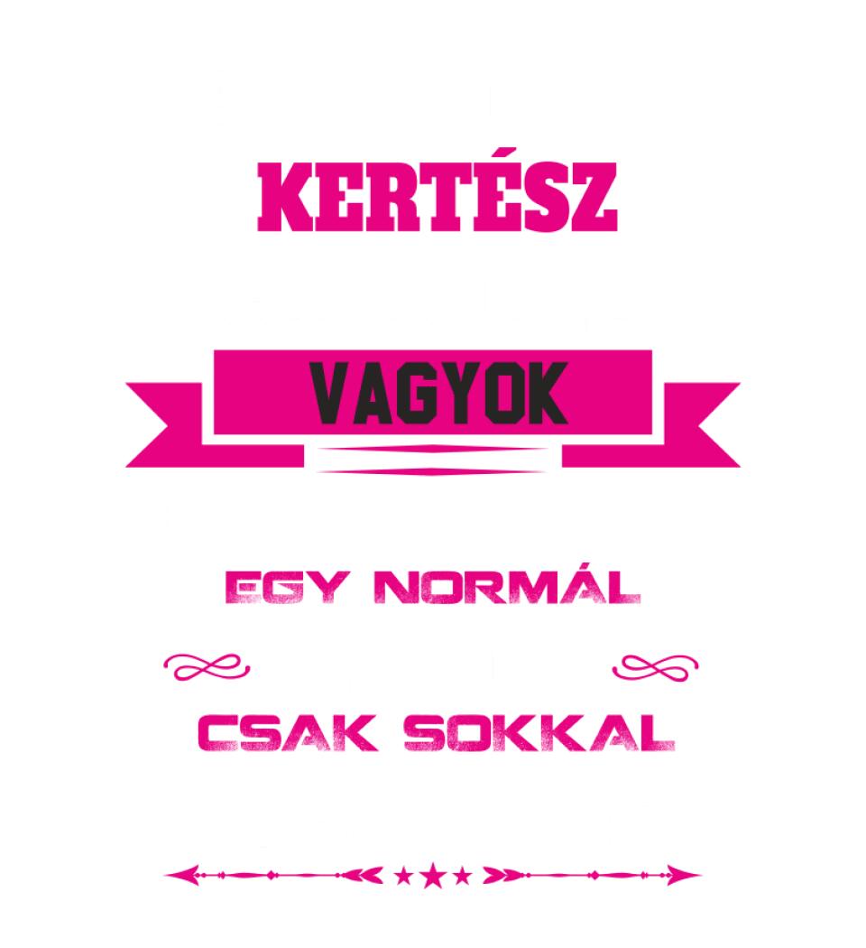 KERTÉSZ ANYUKA PÓLÓ