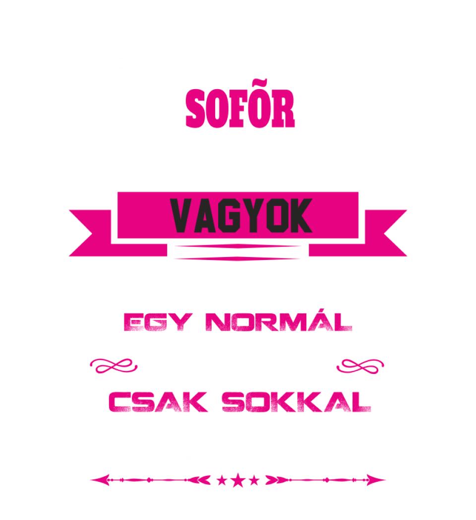 SOFŐR NAGYMAMA PÓLÓ