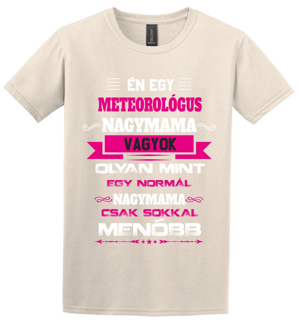 METEOROLÓGUS NAGYMAMA PÓLÓ