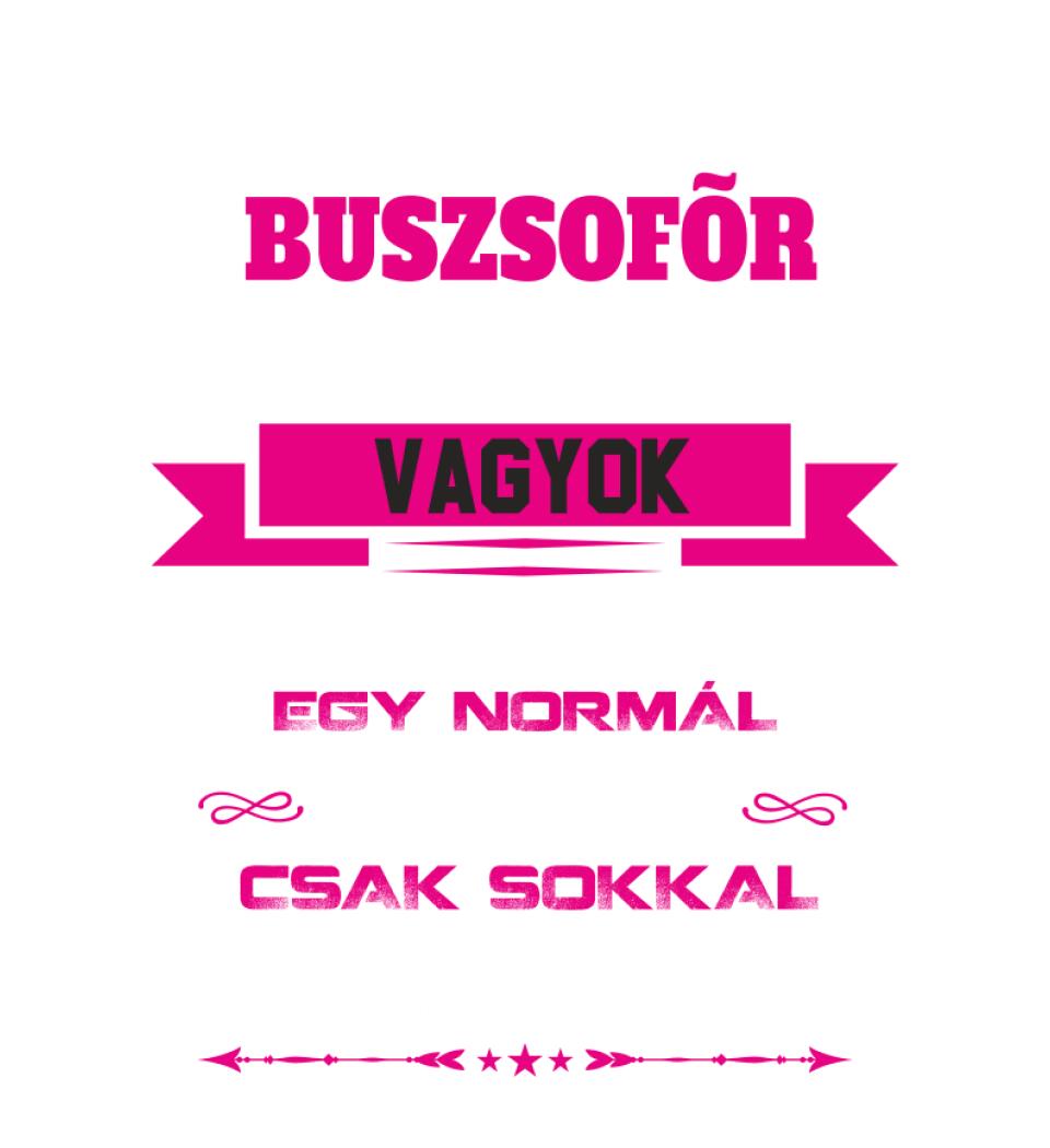 BUSZSOFŐR NAGYMAMA PÓLÓ