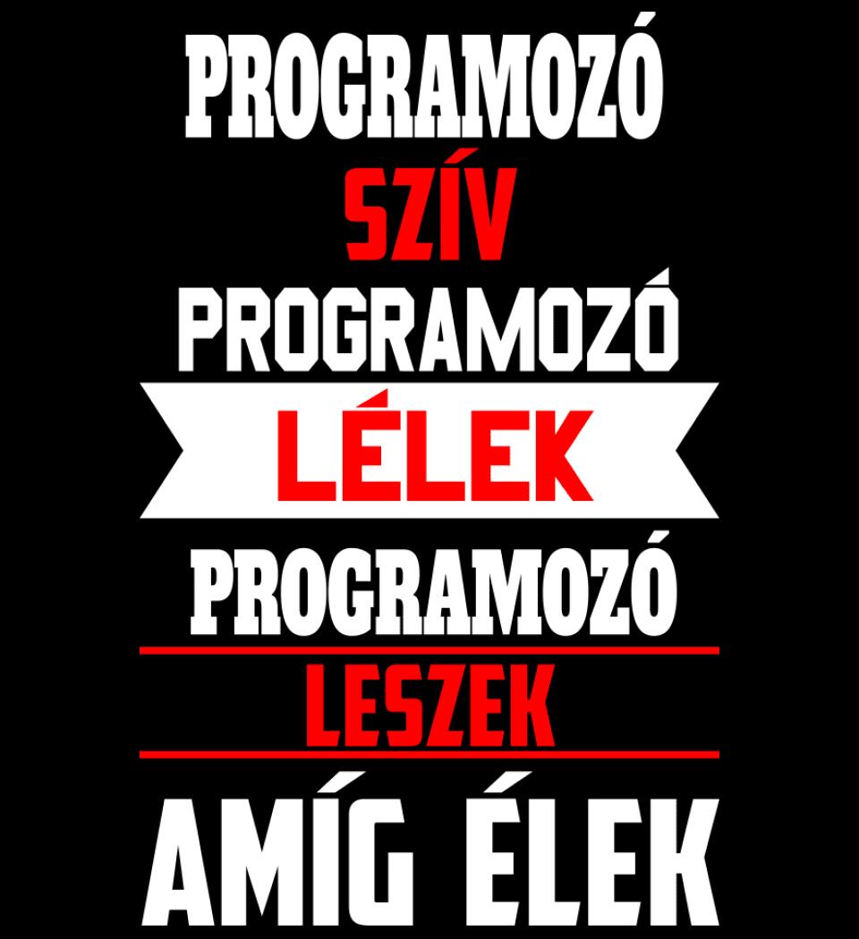 PROGRAMOZÓ LESZEK AMÍG ÉLEK PÓLÓ