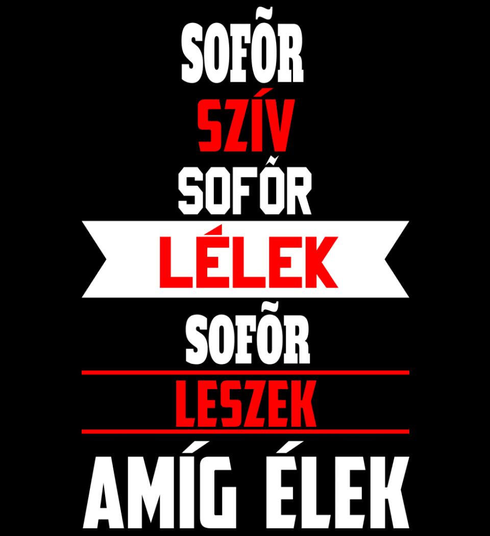 SOFŐR LESZEK AMÍG ÉLEK PÓLÓ