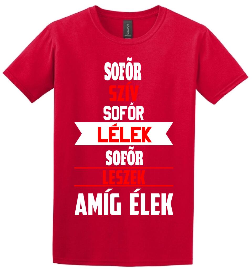 SOFŐR LESZEK AMÍG ÉLEK PÓLÓ