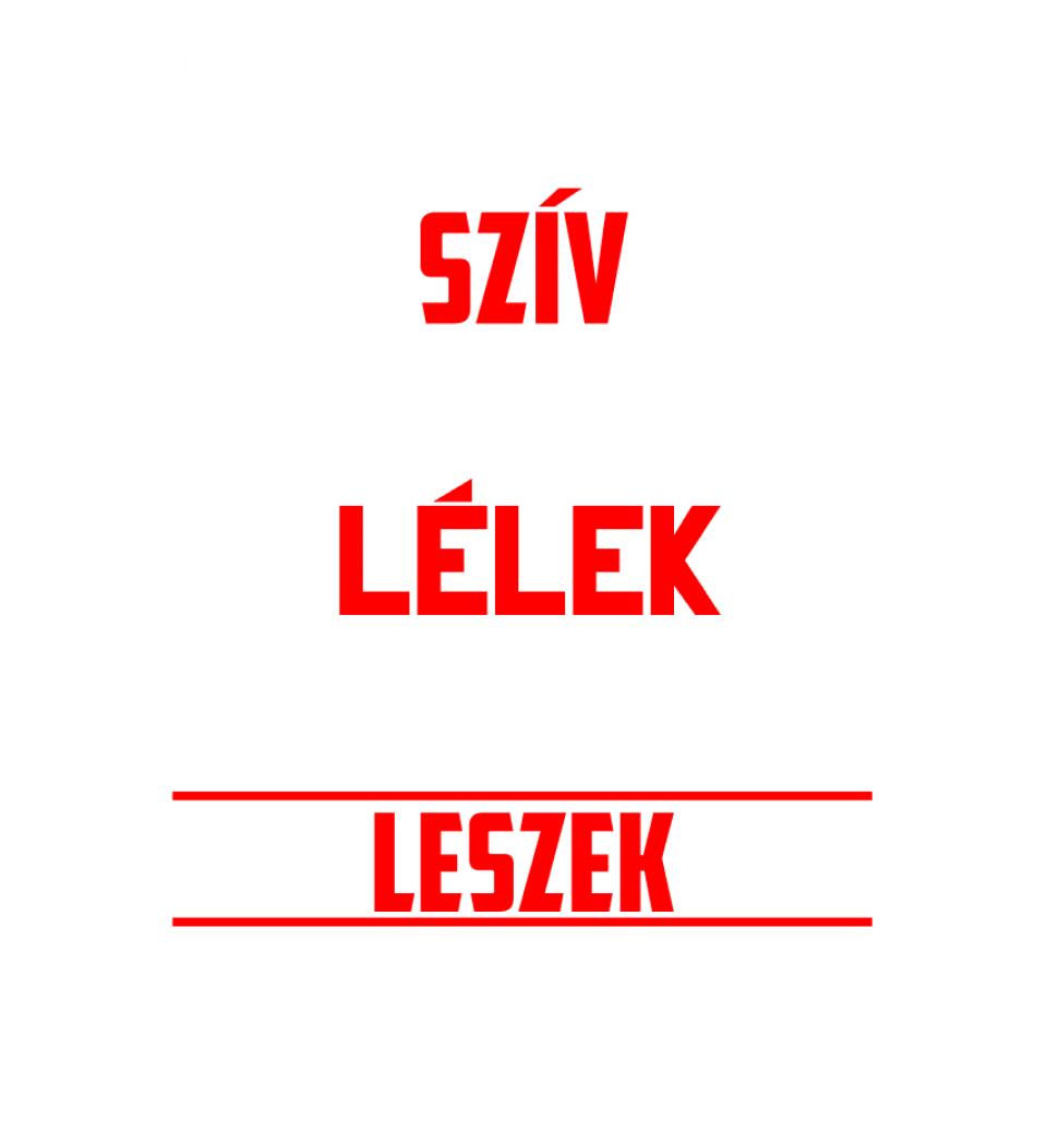 VILLANYSZERELŐ LESZEK AMÍG ÉLEK PÓLÓ