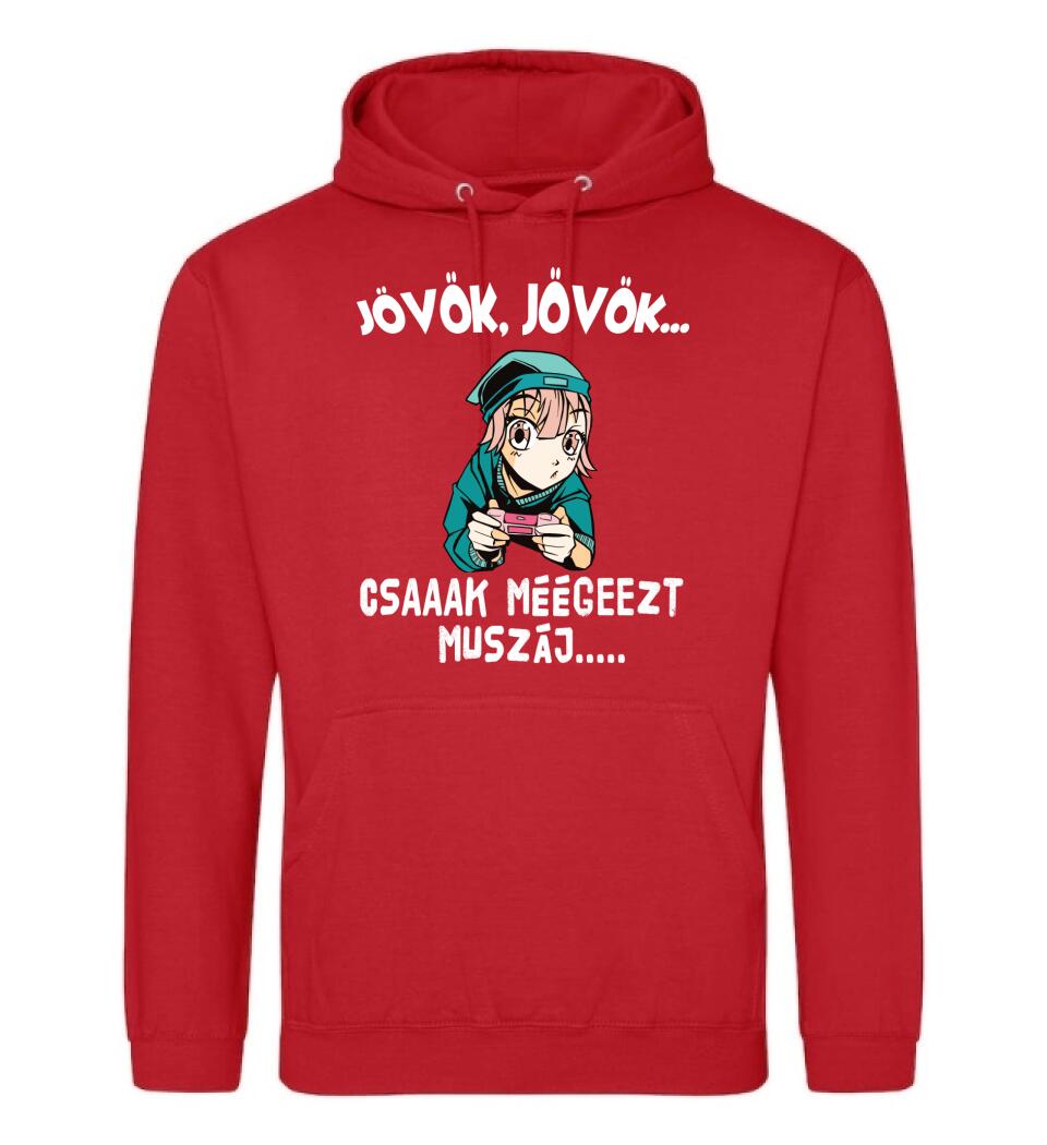 JÖVÖK JÖVÖK CSAK MÉG EZT MUSZÁJ....