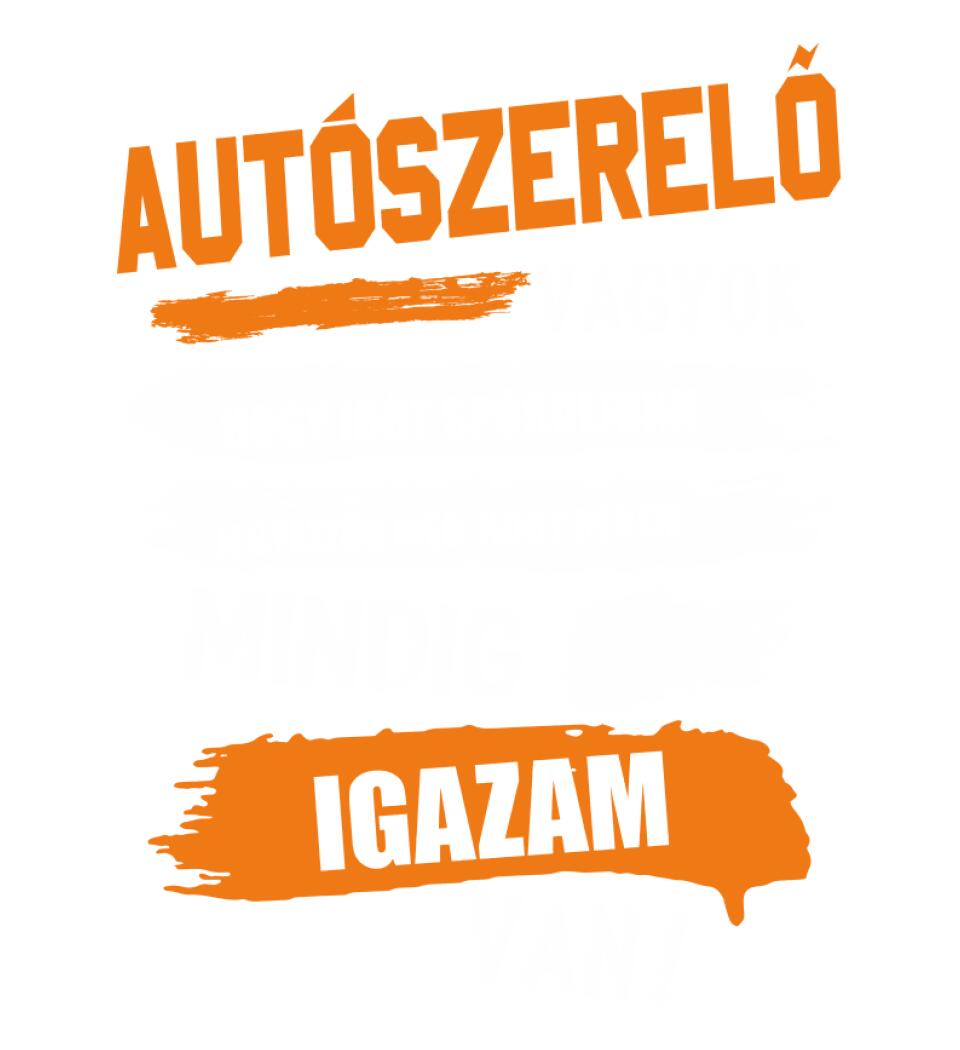 AUTÓSZERELŐ VAGYOK, MINDIG IGAZAM VAN PÓLÓ