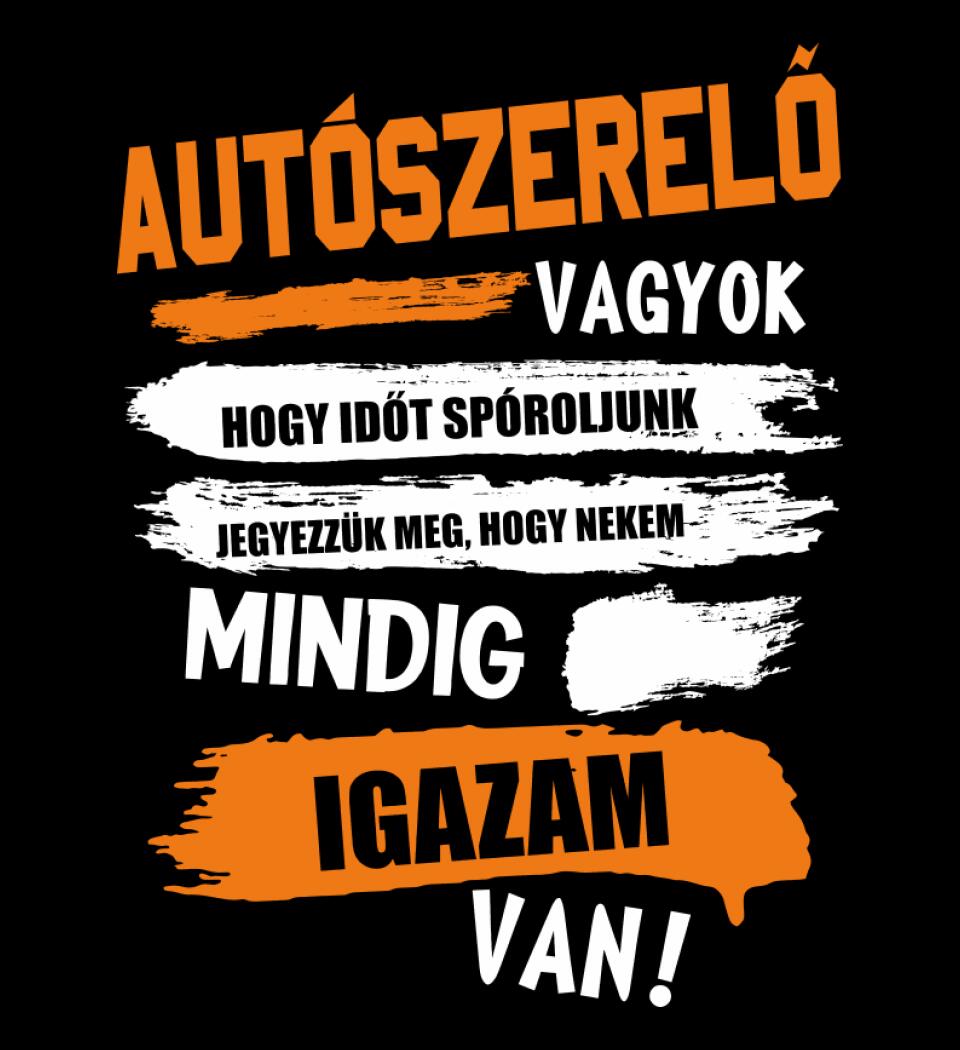 AUTÓSZERELŐ VAGYOK, MINDIG IGAZAM VAN PÓLÓ