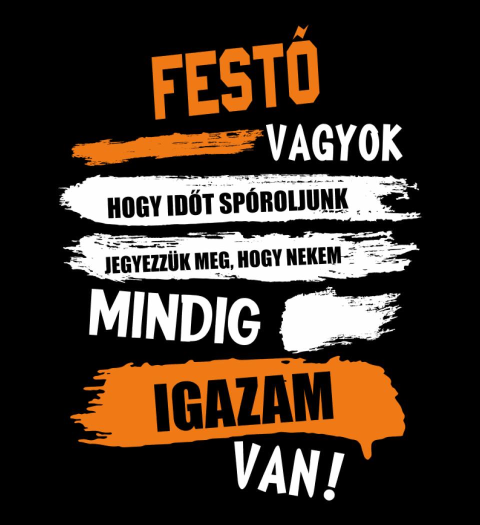 FESTŐ VAGYOK, MINDIG IGAZAM VAN PÓLÓ