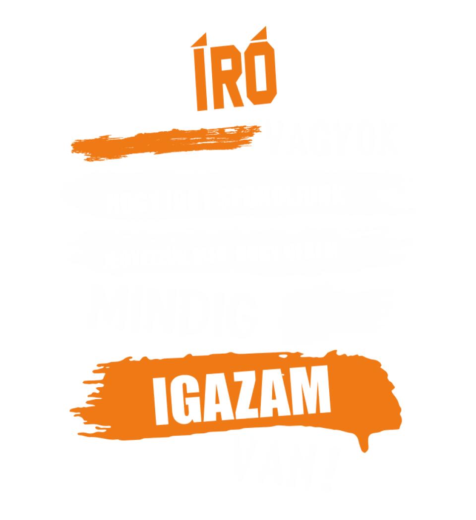 ÍRÓ VAGYOK, MINDIG IGAZAM VAN PÓLÓ