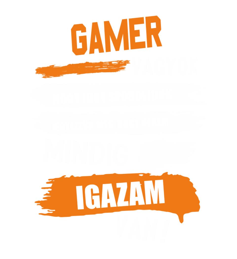 GAMER VAGYOK, MINDIG IGAZAM VAN PÓLÓ