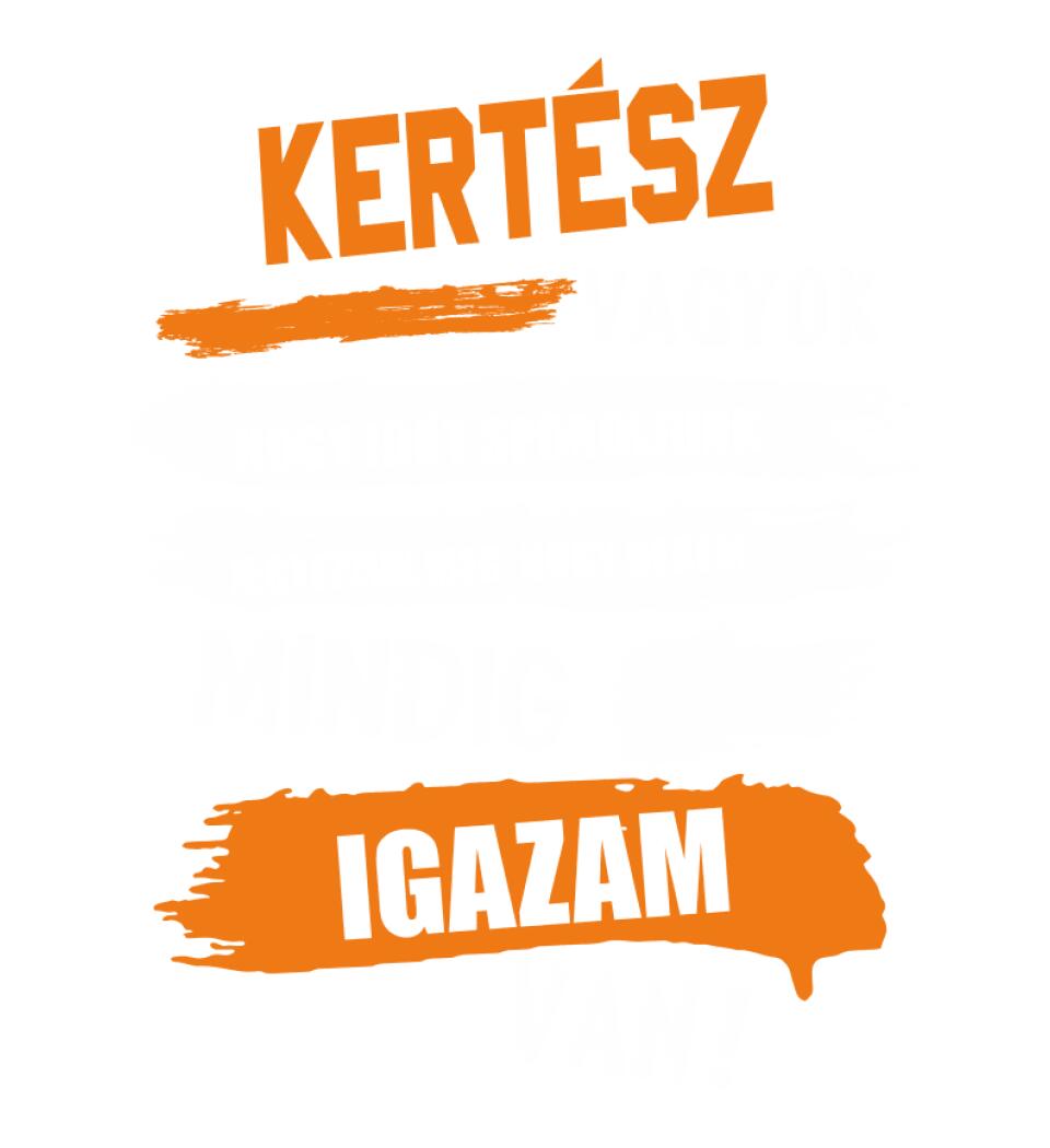KERTÉSZ VAGYOK, MINDIG IGAZAM VAN PÓLÓ