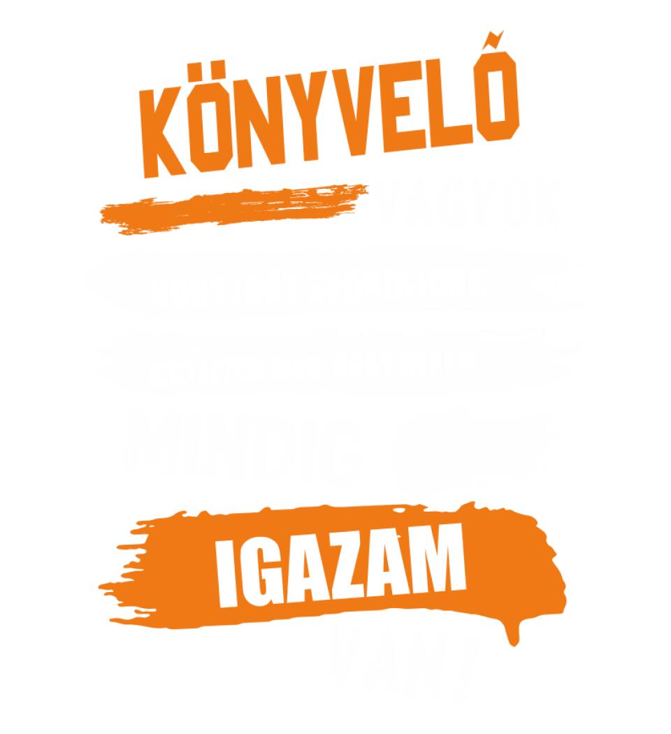 KÖNYVELŐ VAGYOK, MINDIG IGAZAM VAN PÓLÓ