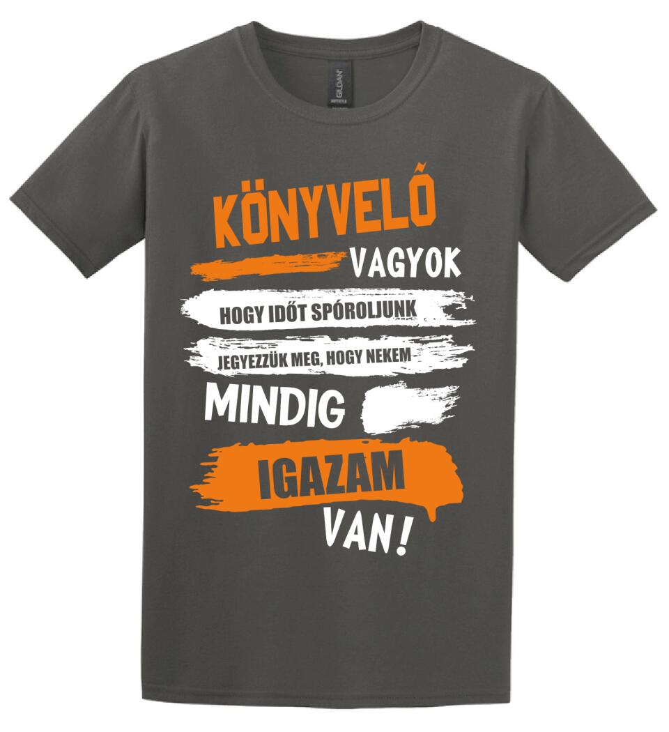 KÖNYVELŐ VAGYOK, MINDIG IGAZAM VAN PÓLÓ