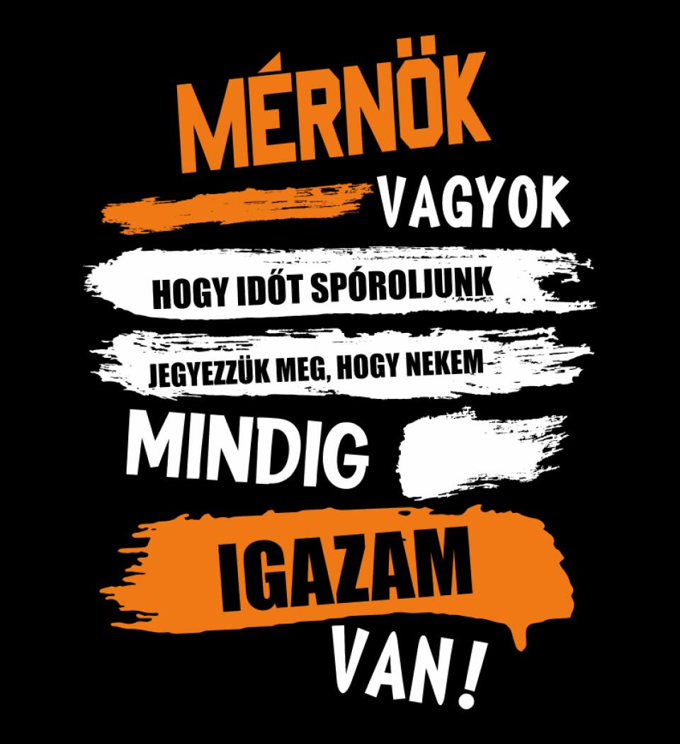 MÉRNÖK VAGYOK, MINDIG IGAZAM VAN PÓLÓ