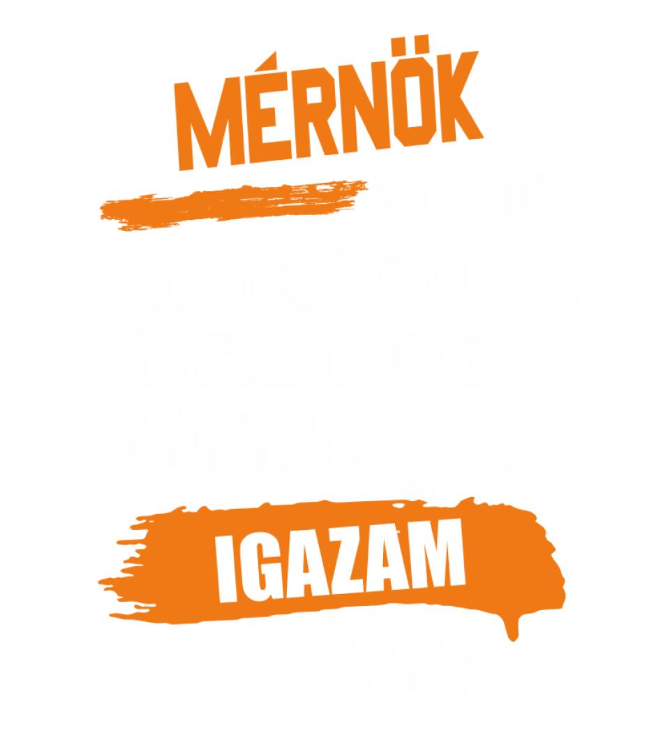 MÉRNÖK VAGYOK, MINDIG IGAZAM VAN PÓLÓ