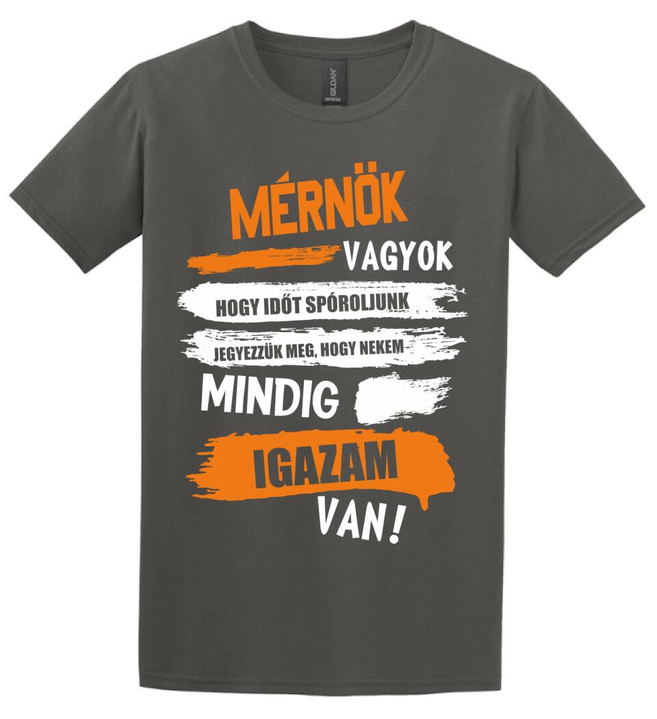MÉRNÖK VAGYOK, MINDIG IGAZAM VAN PÓLÓ