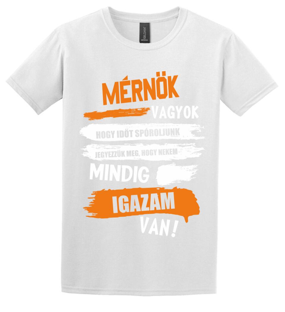 MÉRNÖK VAGYOK, MINDIG IGAZAM VAN PÓLÓ