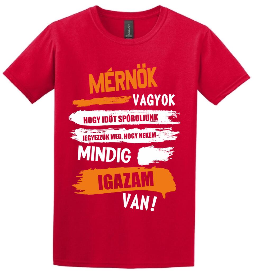 MÉRNÖK VAGYOK, MINDIG IGAZAM VAN PÓLÓ