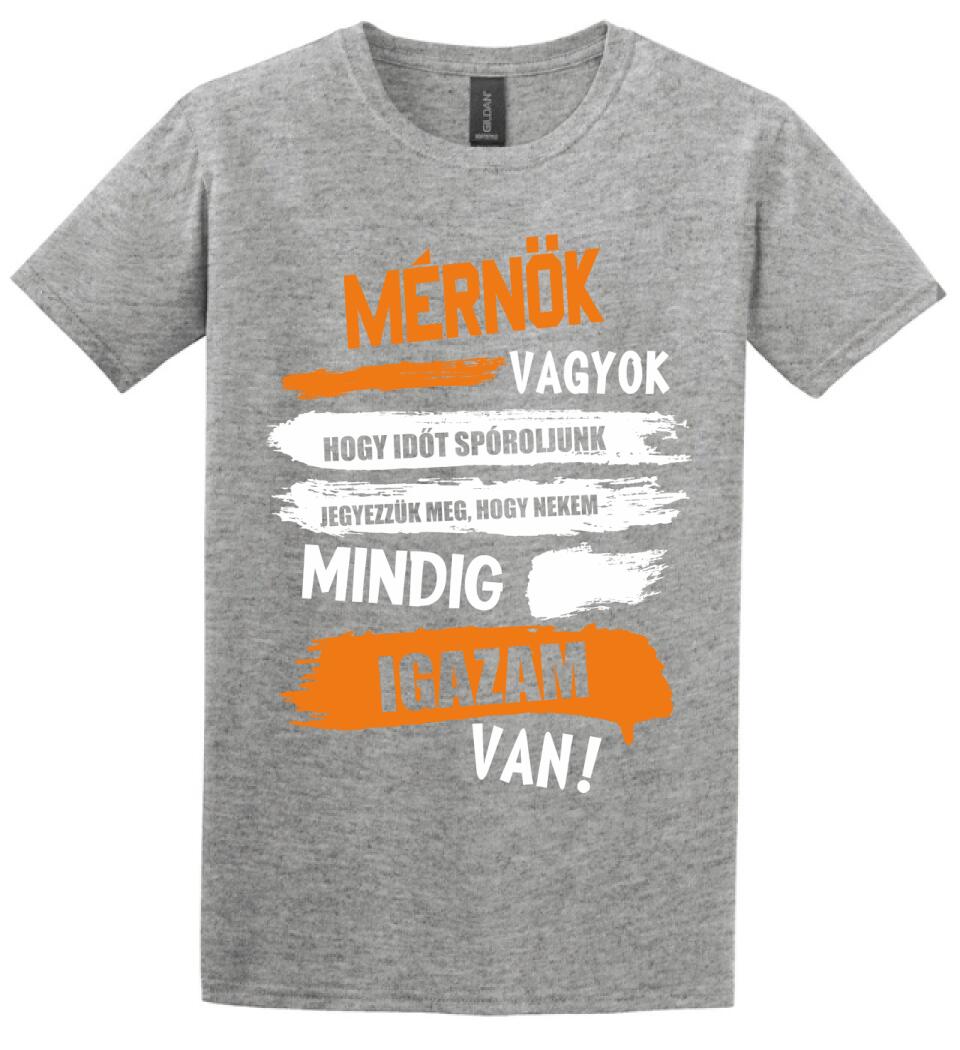 MÉRNÖK VAGYOK, MINDIG IGAZAM VAN PÓLÓ