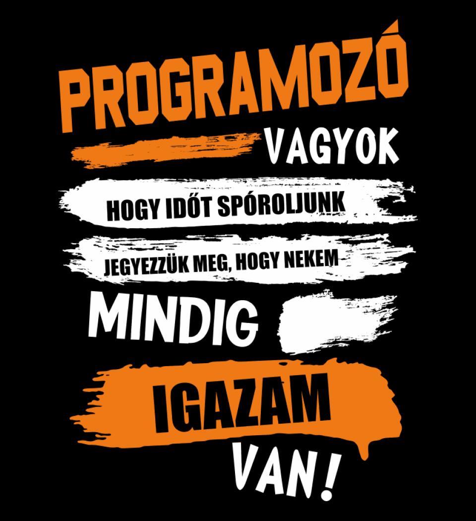 PROGRAMOZÓ VAGYOK, MINDIG IGAZAM VAN PÓLÓ