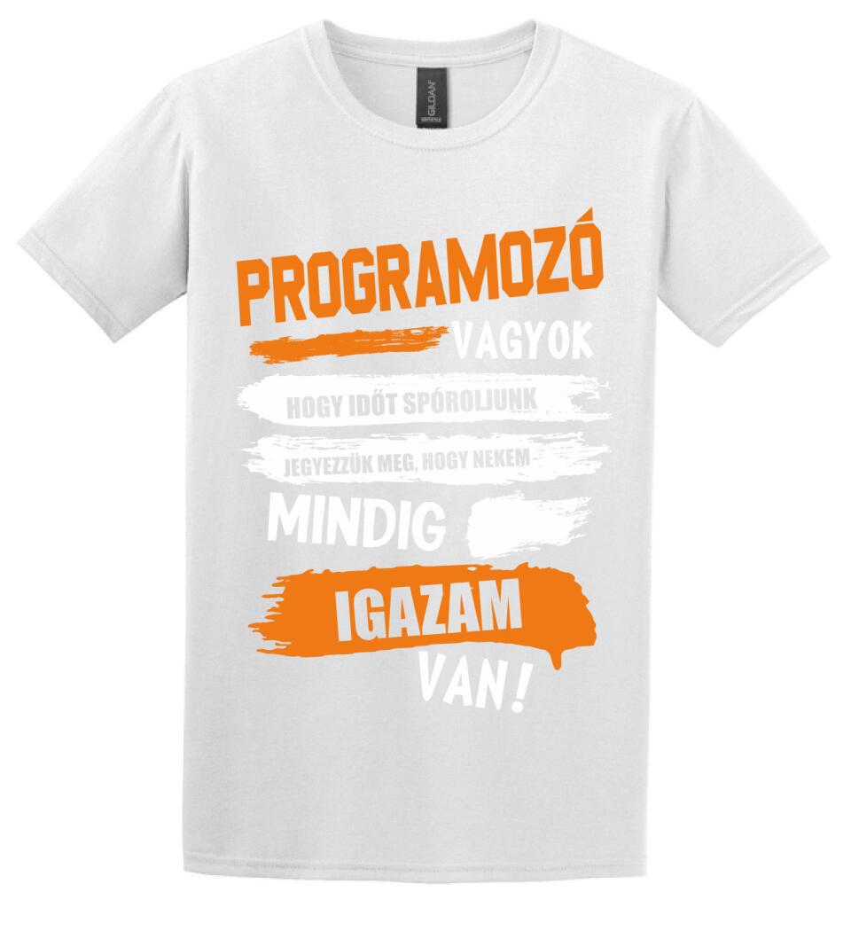 PROGRAMOZÓ VAGYOK, MINDIG IGAZAM VAN PÓLÓ