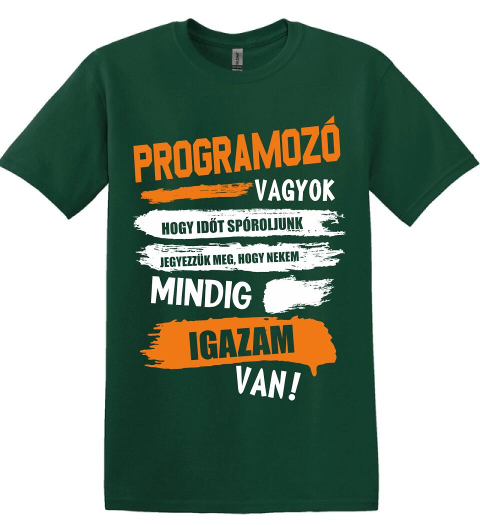 PROGRAMOZÓ VAGYOK, MINDIG IGAZAM VAN PÓLÓ