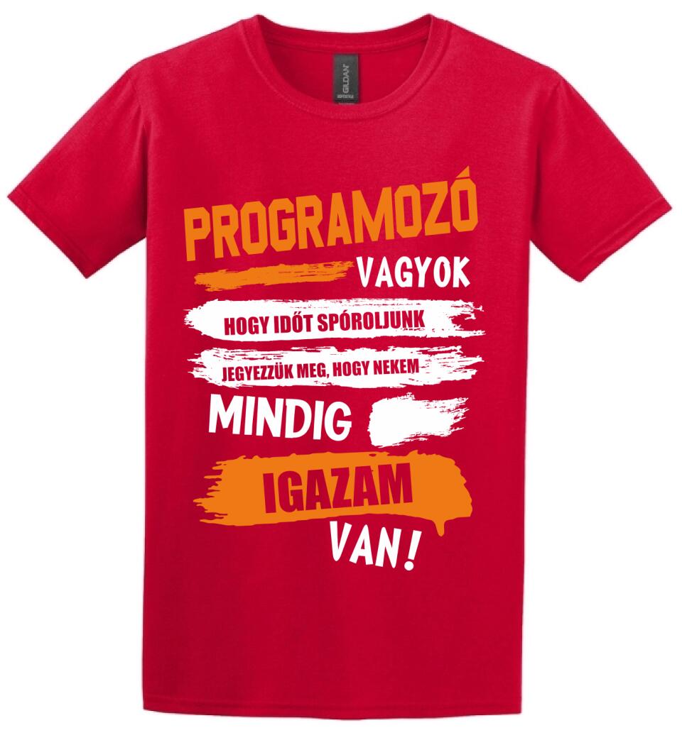 PROGRAMOZÓ VAGYOK, MINDIG IGAZAM VAN PÓLÓ