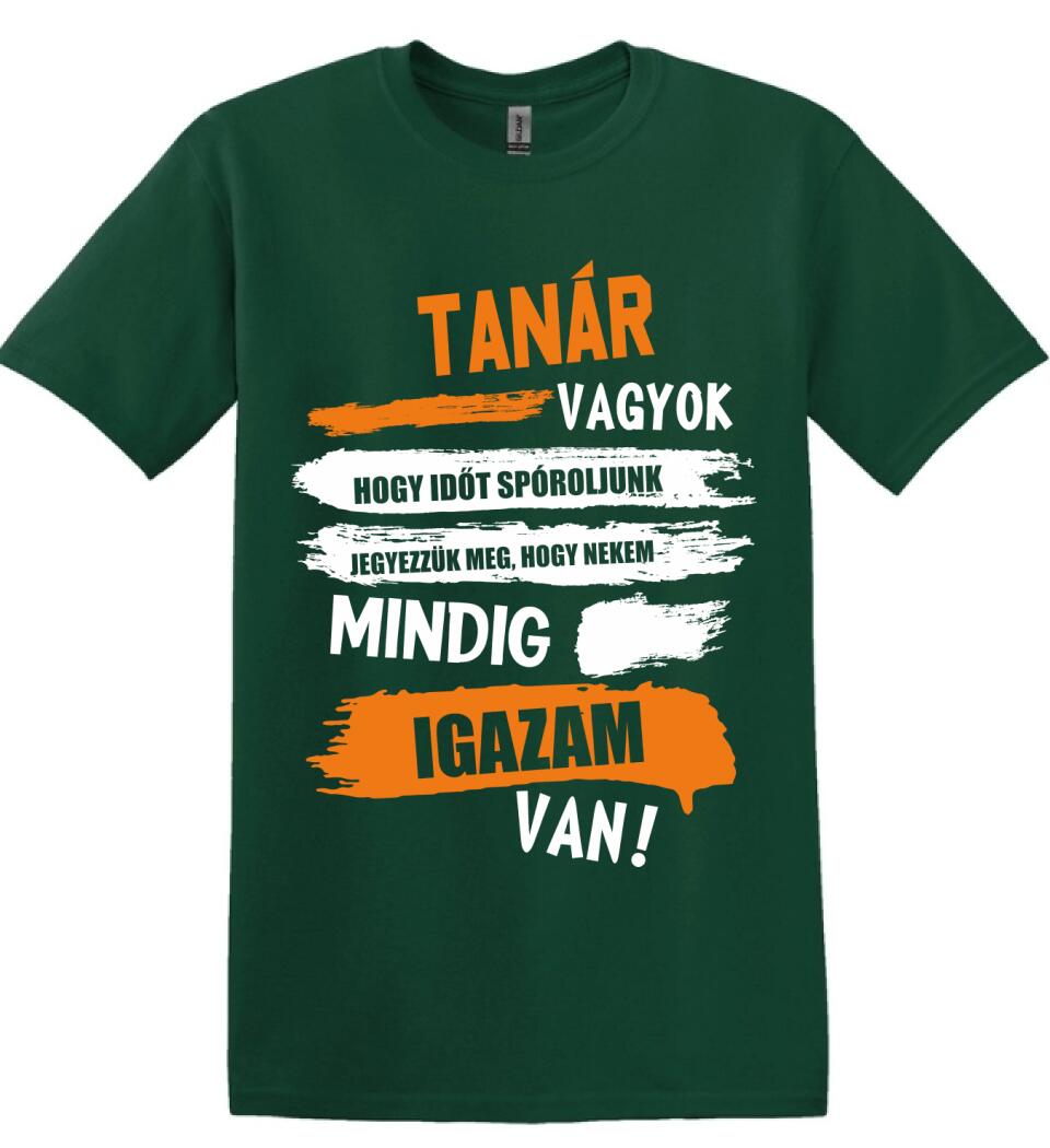 TANÁR VAGYOK, MINDIG IGAZAM VAN PÓLÓ