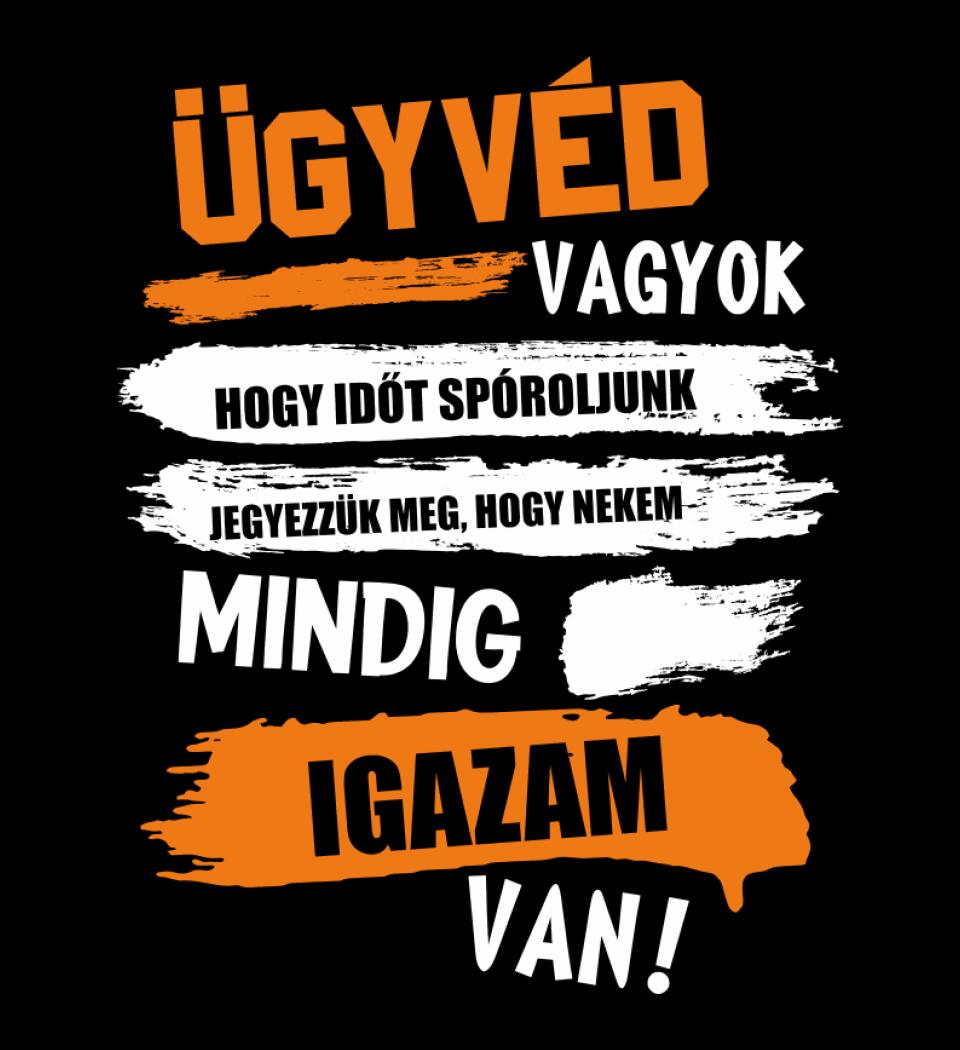 ÜGYVÉD VAGYOK, MINDIG IGAZAM VAN PÓLÓ