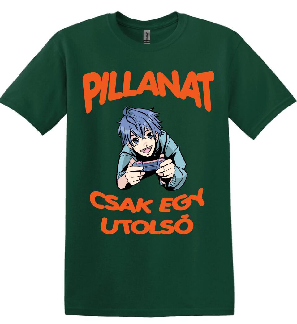 PILLANAT CSAK EGY UTOLSÓ PÓLÓ