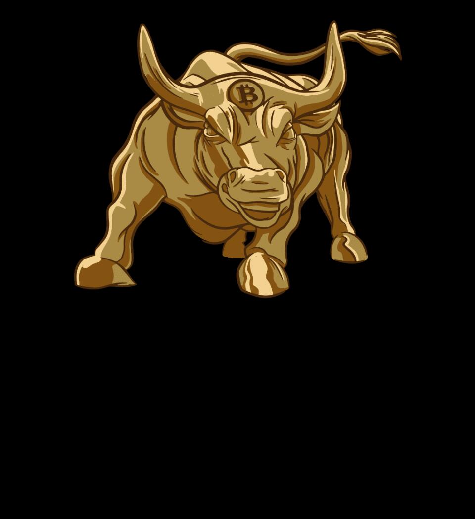 ARANY BITCOIN BIKA PÓLÓ