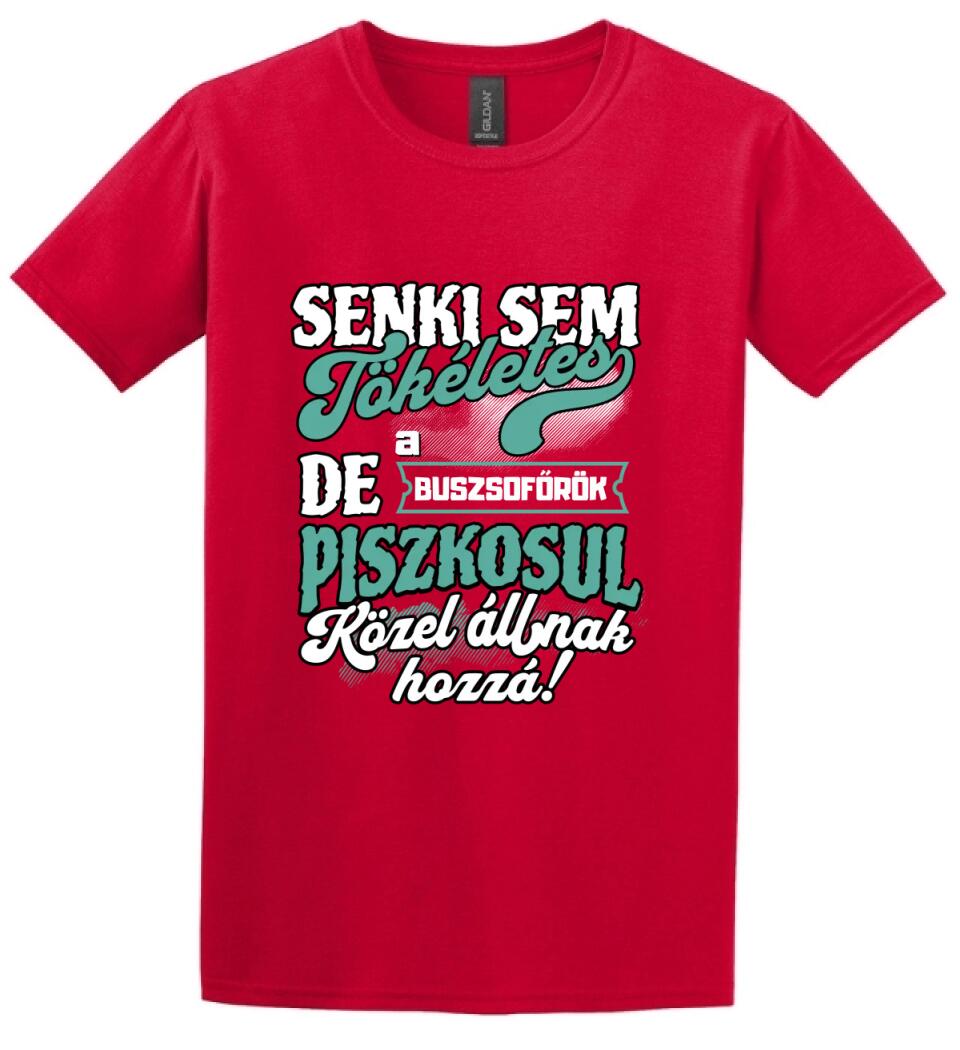 SENKI SEM TÖKÉLETES DE A_AZ  BUSZSOFŐRÖK ÁTKOZOTTUL KÖZEL ÁLLNAK  HOZZÁ