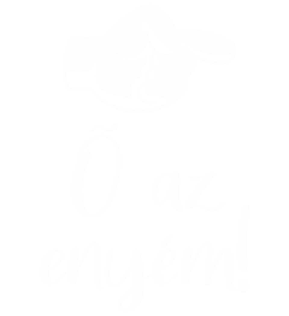 Ő az enyém Páros Póló