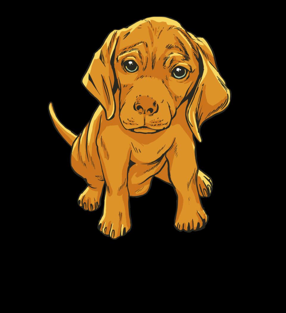 Magyar Vizsla Póló