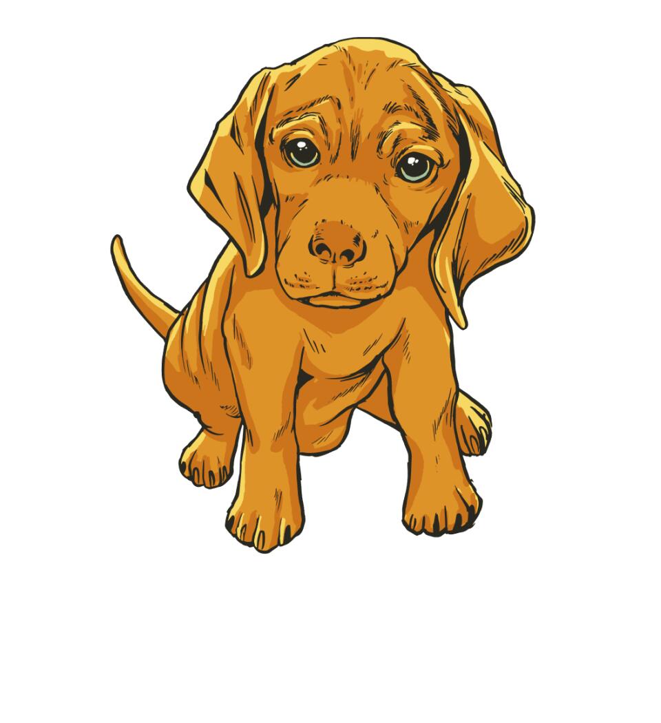 Magyar Vizsla Póló