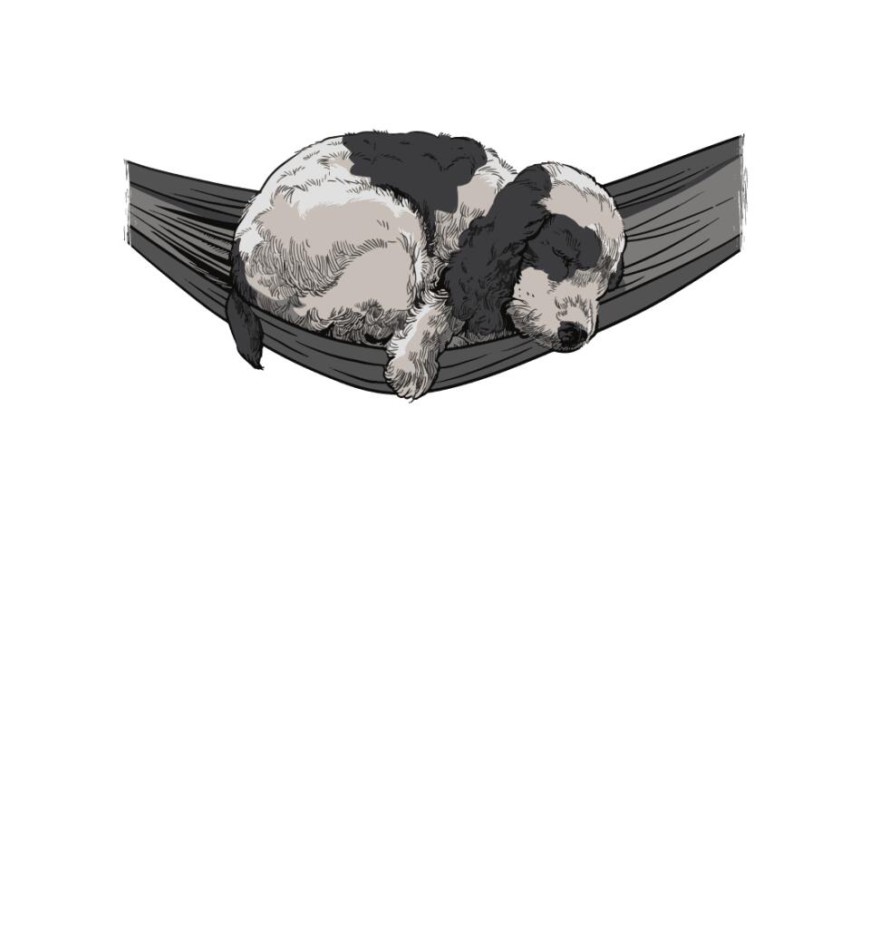 Kokker spániel Póló