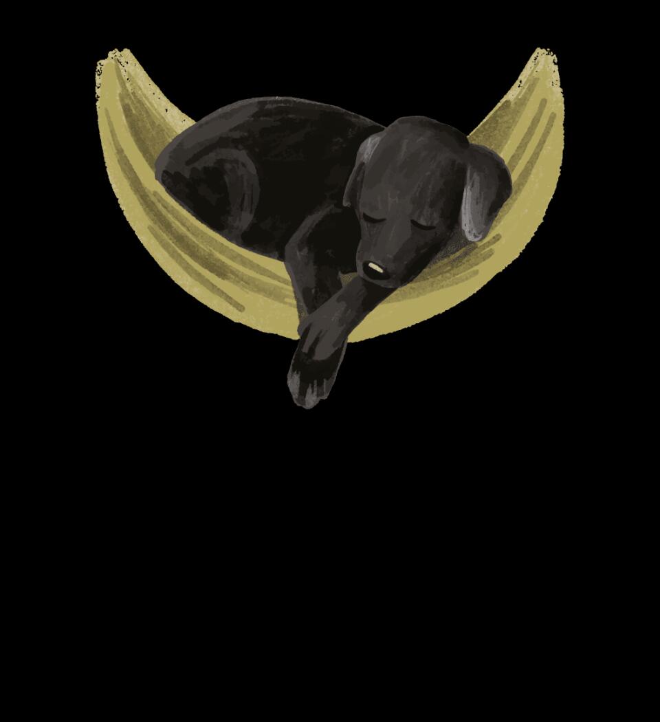 Kicsi labrador Póló