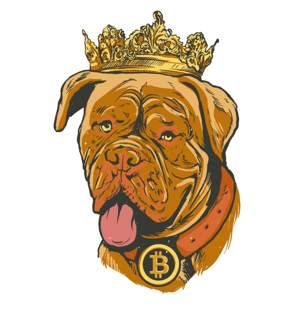 Bitcoin king dog Póló