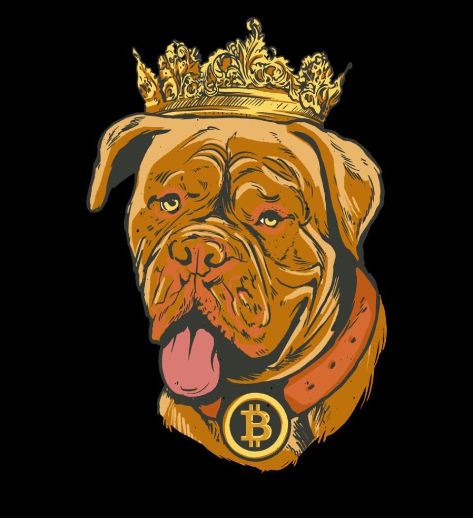 Bitcoin king dog Póló