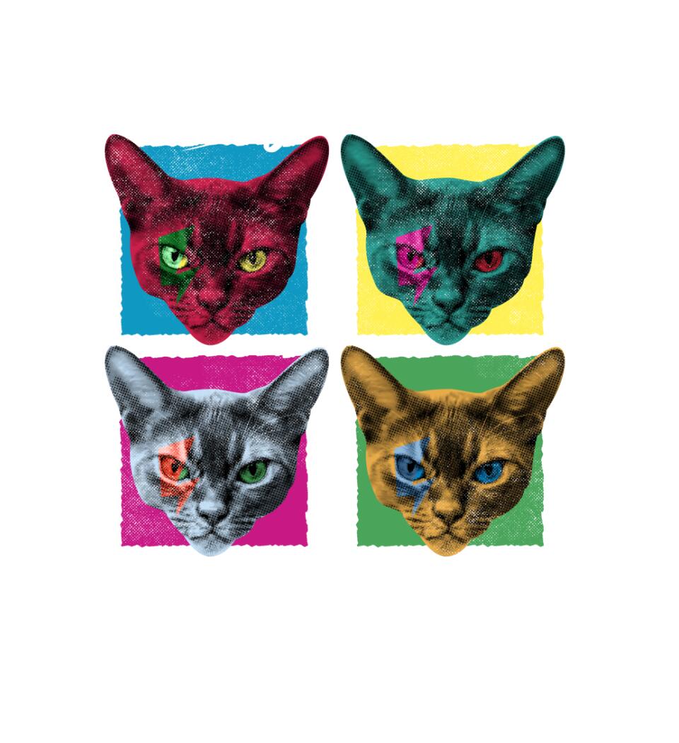 PopArt-AndyCathol Póló