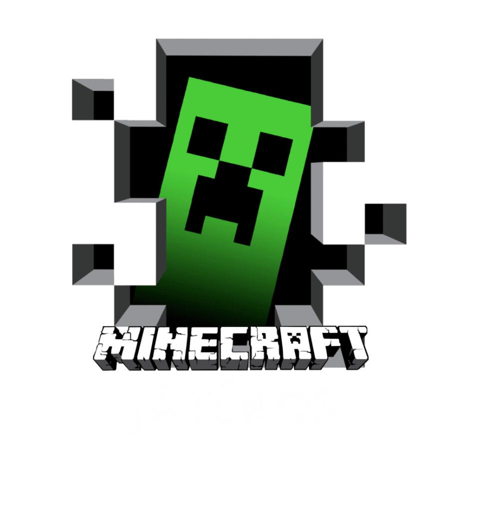 MINECRAFT JÁTÉKOS Póló