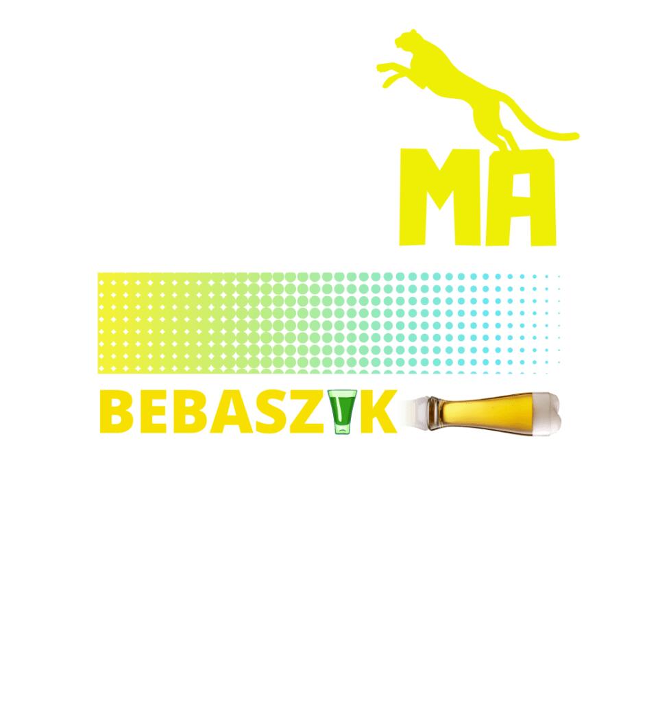 Papamabebaszik szines póló